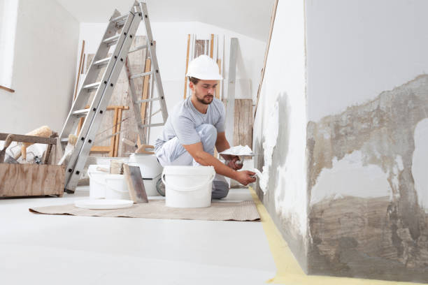 Best Repainting for Renovations  in Allouez, WI